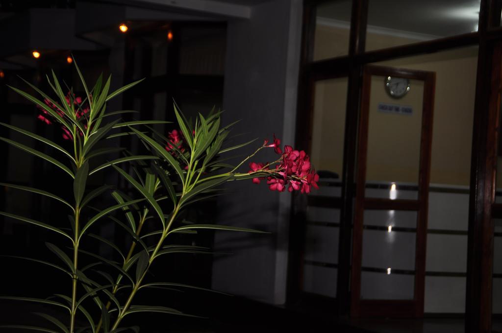 Hotel Melbourne Tourist Rest à Anurâdhapura Extérieur photo